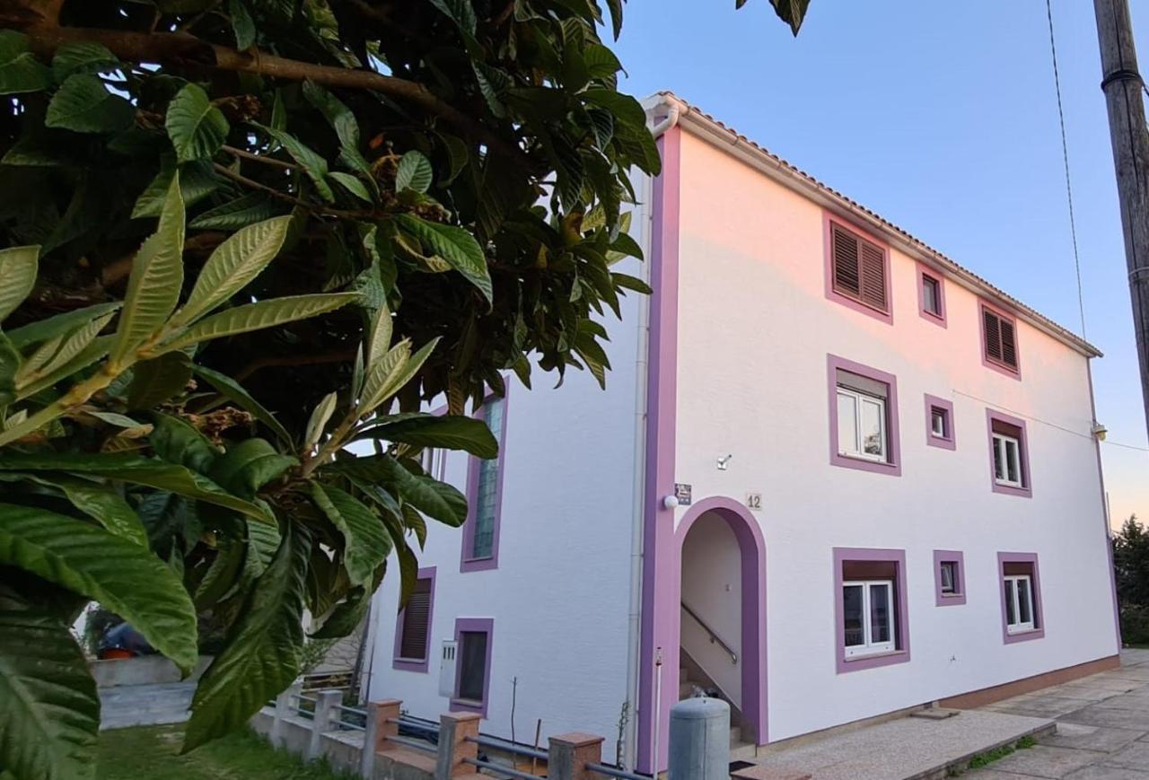 Apartmani Jelena Petrčane Dış mekan fotoğraf